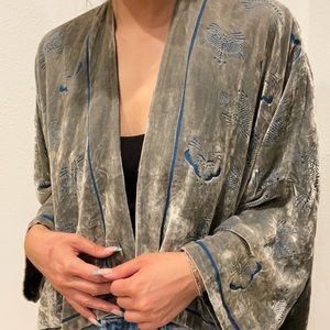 Zara Velvet Burnout Kimono